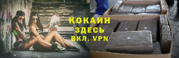 скорость Алзамай