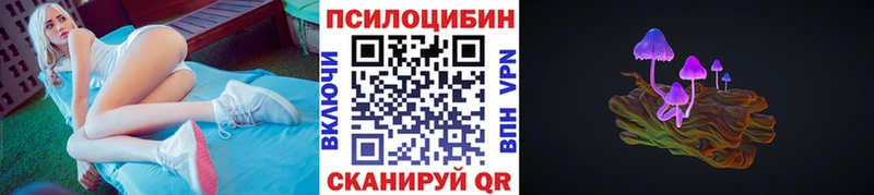 цены   Пикалёво  Галлюциногенные грибы Psilocybine cubensis 